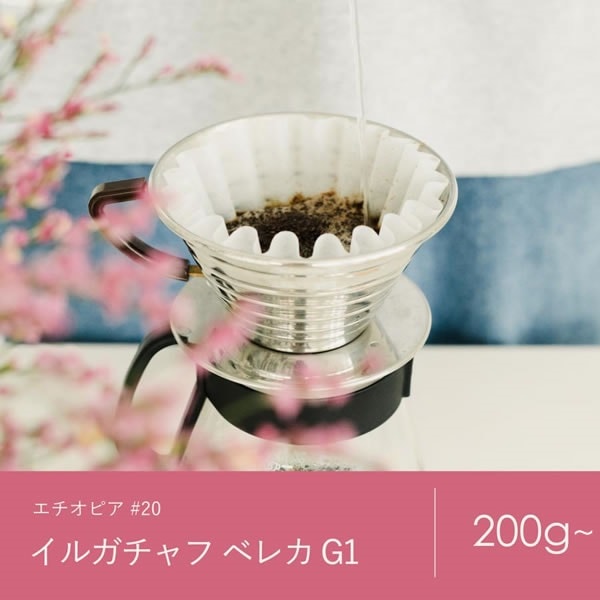 【定期購入】20 エチオピア イルガチャフ ベレカG1 コーヒー 青海スペシャルティ珈琲