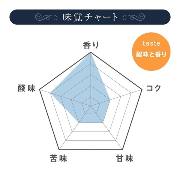 【定期購入】32 グァテマラ オリエンテナチュラル コーヒー 青海スペシャルティ珈琲