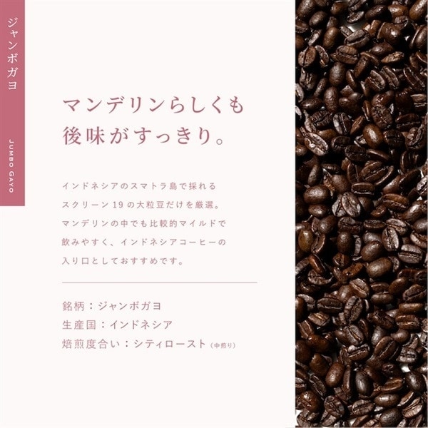 【定期購入】35 ジャンボガヨ インドネシア アチェ コーヒー 青海スペシャルティ珈琲