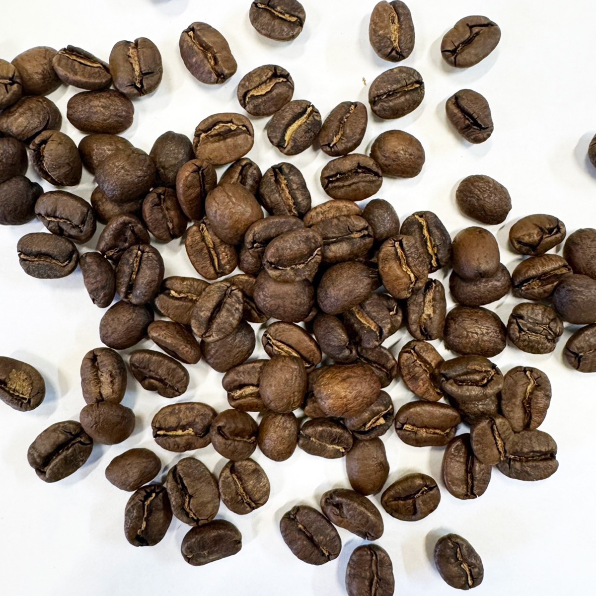 41 コスタリカ　ラ・カンデリージャ ハニー スペシャルティコーヒー（送料込み）