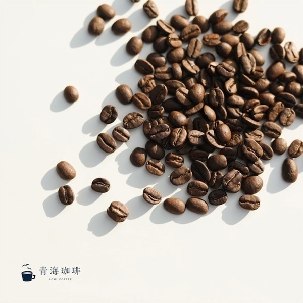 【定期購入】スペシャルティお楽しみ セット（選べるブレンド100g×3パック、スペシャルティコーヒー20g×2パック）