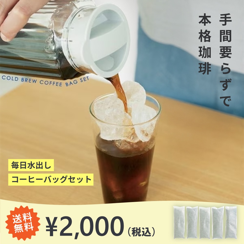 【定期購入】毎日水出しコーヒーバッグセット 50g×5袋(250g) オリジナルアイスブレンド 好評につき期間延長！