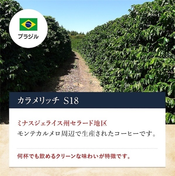 【定期購入】4 ブラジル カラメリッチ S18 コーヒー 青海スペシャルティ珈琲