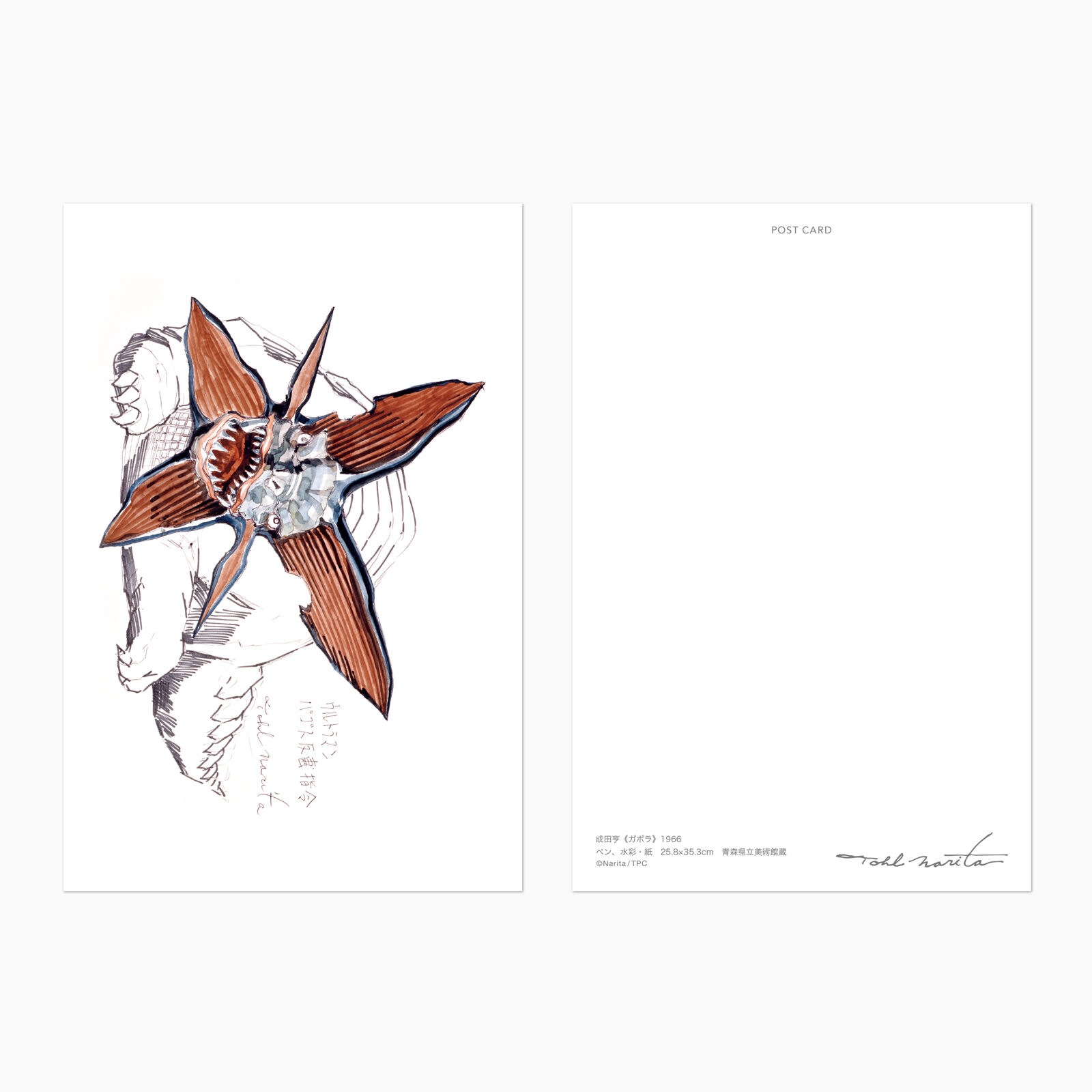 ���ĵ� �ݥ��ȥ����� ���ܥ�