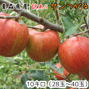 �Ŀ���󤴡�����̵���������ꥵ��Ĥ���10����28��40�̡�ȯ����9��13��������