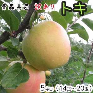 �Ŀ���󤴡�����̵����������ȥ�5����14��20�� ȯ����10��1��������