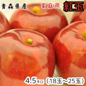 Ŀ󤴡̵ѹȶ4.51825 ȯ1017