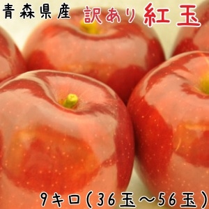 �Ŀ���󤴡�����̵����������ȶ�8��9����36��56��