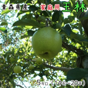 �Ŀ���󤴡�����̵���������Ѳ���5����14��20�̡�ȯ����11��10��������