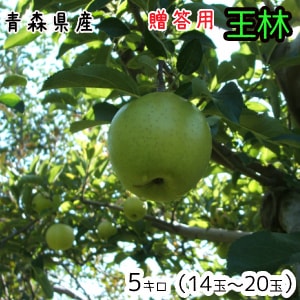 �Ŀ���󤴡�����̵����£���Ѳ���5����14��18�̡���ȯ����11��30��������