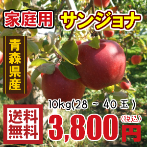 �Ŀ���󤴡�����̵���������ѥ��󥸥��10����28��40�� ȯ����10��20��������