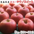 Ŀ󤴡̵ꥷʥΥ51320 ȯ111
