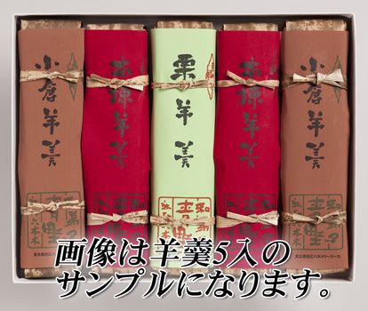 化粧箱 栗蒸し羊羹1・小倉栗蒸し羊羹1・栗羊羹1棹 | 栗蒸し羊羹