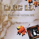 FAKE I.D. / DREAMING EZEKIEL