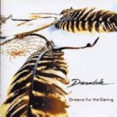 DREAMTIDE / Dreams For The Daring