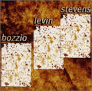 BOZZIO LEVIN STEVENS / Situation Dangerous