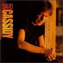 DAVID CASSIDY / DAVID CASSIDY