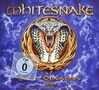 WHITESNAKE / LIVE AT DONNIGTON 1990 (2 CD + 1 DVD)