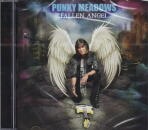 PUNKY MEADOWS / FALLEN ANGEL