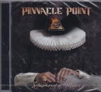 PINNACLE POINT / SYMPHONY OF MIND