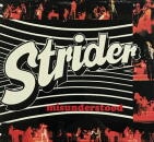 STRIDER / Misunderstood