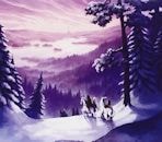 THE WINTER TREE / THE WINTER TREE