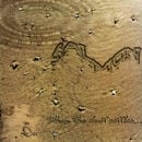 SALMON / WHEN THE DUST SETTLES