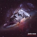 PANIC ROOM / SATELLITE