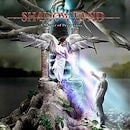 SHADOWLAND / A MATTER OF PARSPECTIVE