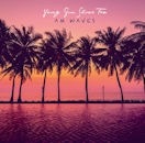 YOUNG GUN SILVER FOX / AM WAVES