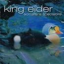 KING EIDER / SOMATERIA SPECTABILIS