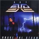 SHY / BRAVE THE STORM