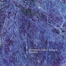 AUTUMN'S GREY SOLACE / RIVERINE