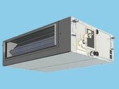 A-P80FE7GNB �ѥʥ��˥å� ��̳�ѥ������� XEPHY Premium