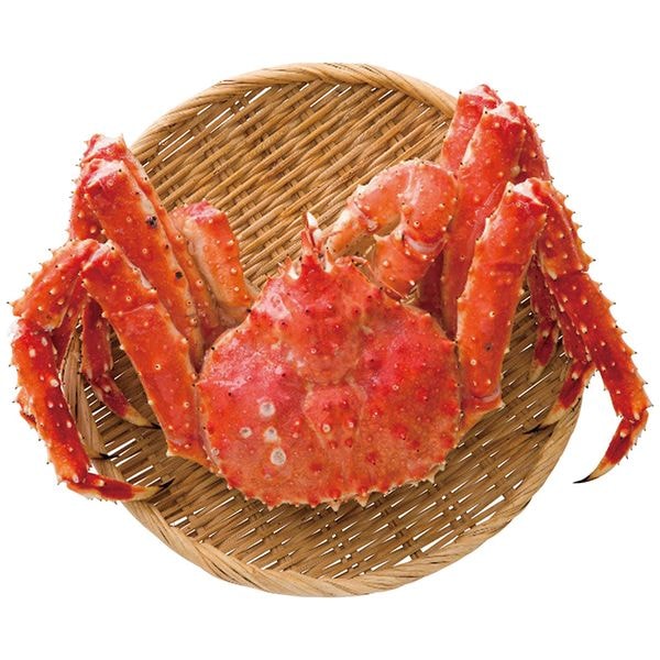 網走水産 ボイルたらばがに姿