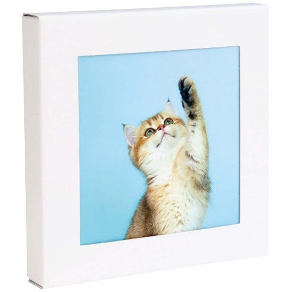 壁に飾る防災トイレ処理セット(5回分) アートトワレ ねこ