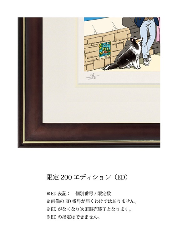 �ǲ�֥���ȥ��꡼�β��ǡ�