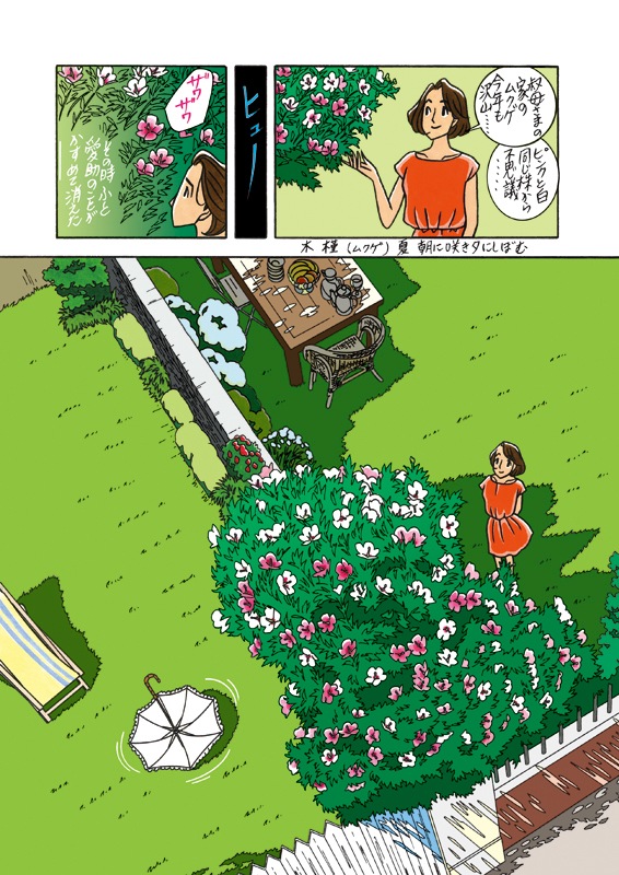 Dr.�����θ���