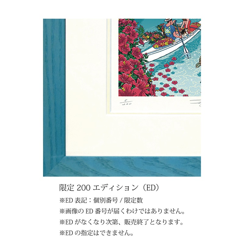 �ǲ��Coral Romance��