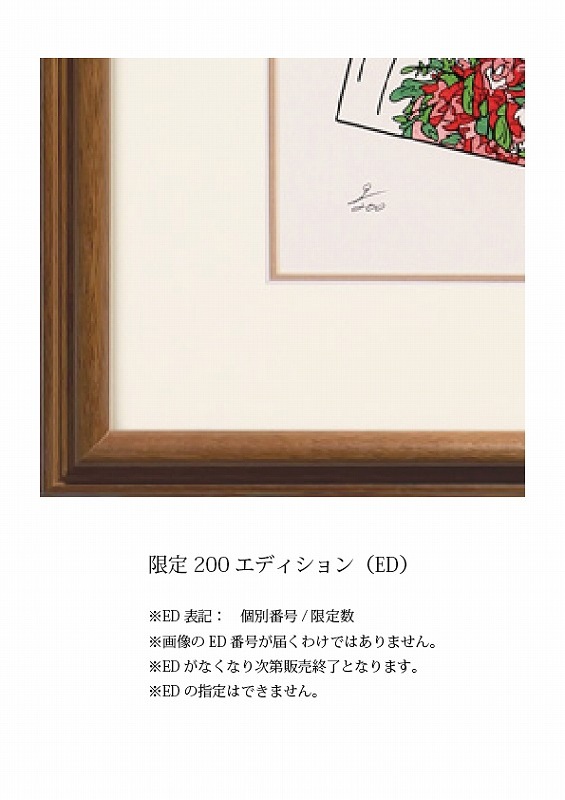 �ǲ�ֲ֤Τ褦�ʽ��ʤҤȡˡ�