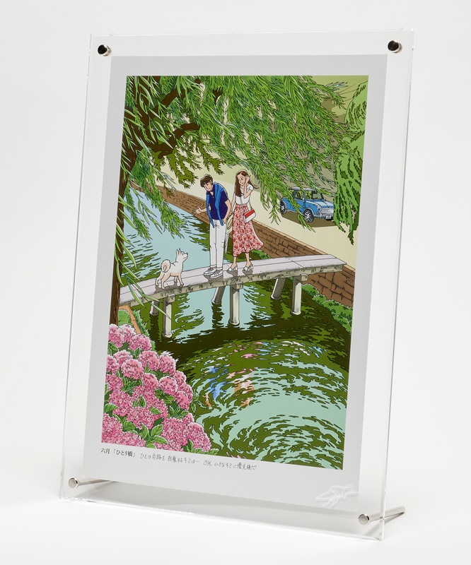 �ڴ���ֵۡ������ ���������������ʣ������12�祻�åȡʥ������ե졼���դ���