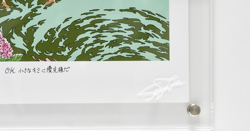 �ڴ���ֵۡ������ ���������������ʣ������12�祻�åȡʥ������ե졼���դ���