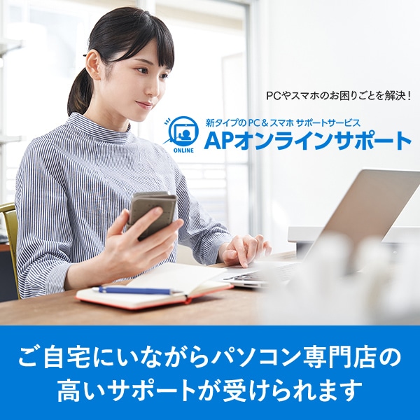 APオンラインサポート プラチナ 【12ヶ月一括】