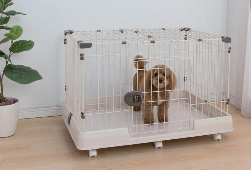 �����ꥹ������� �롼�ॱ���� RKG-900L �ߥ륭���֥饦�� 0501-4905009992737-ds -��������-��������������ꡦ����󥻥��Բġ��̳�ƻ����Υ�������Բġ�