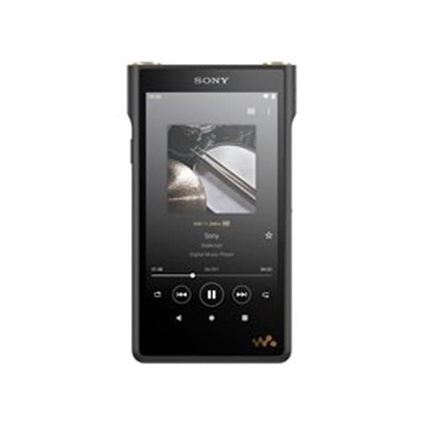 �ǥ����륪���ǥ����ץ졼�䡼(DAP) ���ˡ� / SONY NW-WM1AM2 [128GB] �ڥ���󥻥��Բġ��̳�ƻ����Υ�������Բġ� 0057-4548736129535-ds