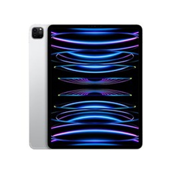 iPad pro 12.9 (6世代) 256GBセルラー applecare