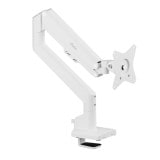 󥰥˥ Pixio PSW1S / White PSW1SWH-O Hamee ڥ󥻥Բġ̳ƻΥԲġ