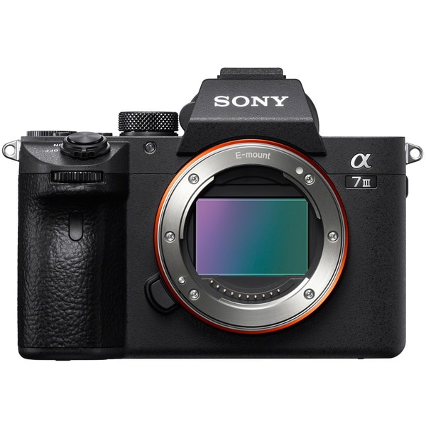 �ǥ������㥫��� ���ˡ� / SONY ��7 III ILCE-7M3 �ܥǥ� �ڥ���󥻥��Բġ��̳�ƻ����Υ�������Բġ� 0057-4548736079625-ds