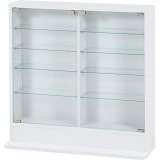 不二貿易 コレクションラック TOR ロータイプWH ホワイト 商品コード57082【代引・日時指定・キャンセル不可・北海道沖縄離島配送不可】 -お取リ寄せ-