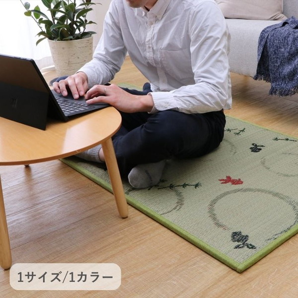 イケヒコ  敷物 製品 すずみ  82×164cm   1畳 コンパクト 軽量 SZM82164 1040050010313  【代引き不可】【北海道沖縄離島は配送不可】-お取り寄せ品-